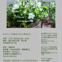 「【6月7日開催】園芸講習会「ペチュニア白グリ－ン寄せ植え講座」受付中」の写真