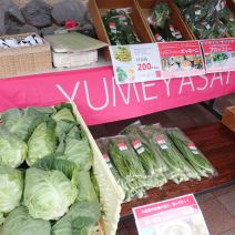 「イベント情報6月21日「月寒公園マルシェ」を開催します」の写真