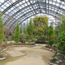 「明日から4月！「春の花展」も開催します（2026年3月31日）」の写真