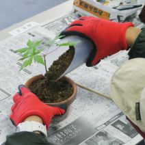 「3月11日から申込開始の講習会」の写真