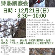 「中島公園「都会の野鳥観察会」を開催します　※定員に達したため申込受付終了しました」の写真