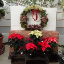 「12月2日からハンドメイド・クリスマス展がはじまります。」の写真