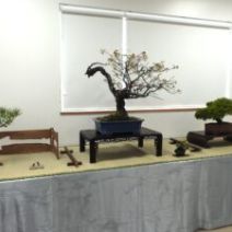 「「北海道の盆栽づくり5月展」開催します」の写真
