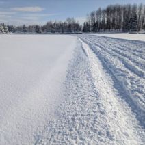 「参加者募集のお知らせ（2026年1月10日）」の写真