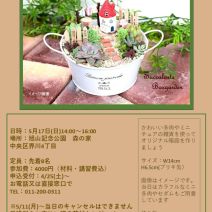 「「多肉植物箱庭寄せ植え講座」受付中」の写真