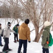 「百合が原公園の春フェスタ 始まります(ガーデンショップではミモザの切り花が本日も入荷)2026年2月19日」の写真