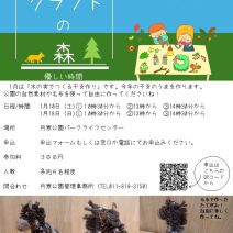 「真冬のワークショップ、今年も緑のセンターで開催！（2025年12月7日）」の写真