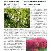 「百合が原公園、本日の様子(2026年5月4日)」の写真