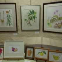 「2月17日よりアザレア展がはじまります」の写真