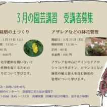 「3月11日から申込開始の講習会」の写真