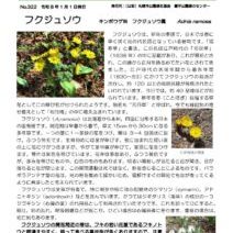 「イベント情報「クラフトの森」1月は「木の実で作る干支作り」です！」の写真