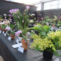 「明日から「市民ラン展」開催（2026年1月26日）」の写真