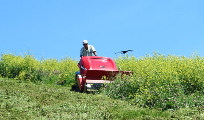 モエレ沼公園作業の様子