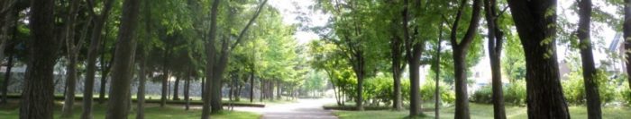 手稲稲積公園イメージ