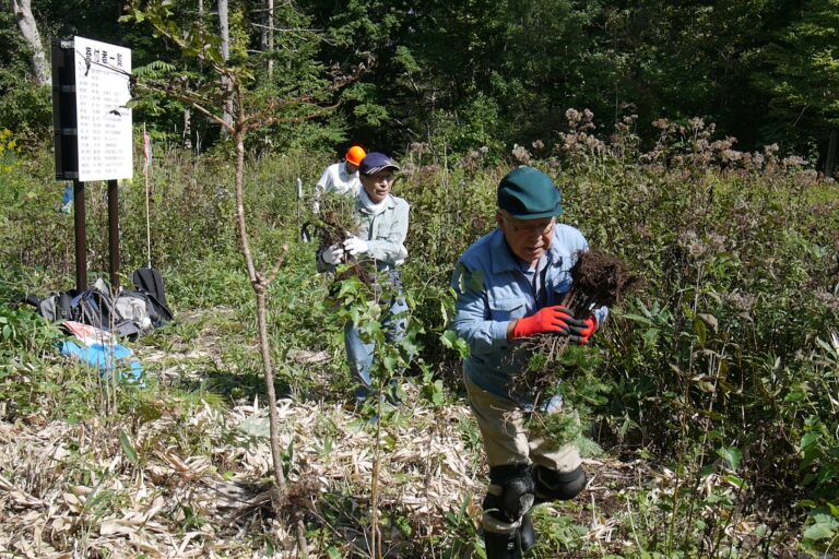 苗木を運ぶ様子