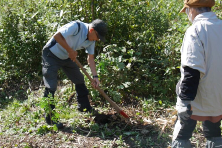 鍬で植穴を作っている様子