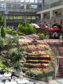 サッポロファクトリアトリウムのベゴニアの滝