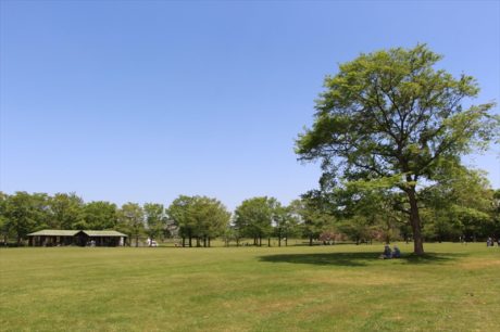 グリーンピクニック芝生広場のイメージ