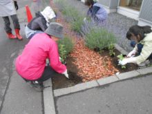 地域の花好きのみなさんがおしゃべりしながら花植え