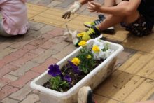 完成したプランター