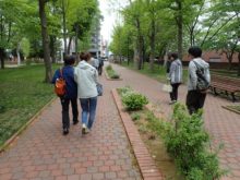 公園内の花壇の観察