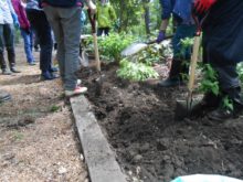 土づくりの体験