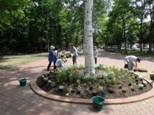 花壇の外側の花の配置を協力して行っている