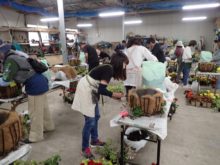 ハンギングバスケット制作会場全体の様子