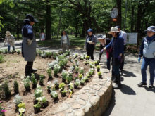 株間を調整している