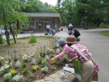 2人一組になって花壇のメンテナンスを教える練習