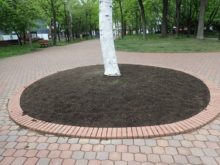 永山記念公園の花壇づくりの場所