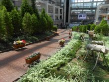 サッポロファクトリーアトリウムのベゴニアのコンテナ