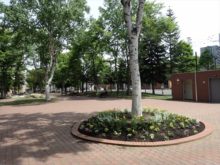 花が植え終わった花壇の様子