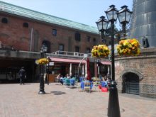 サッポロファクトリーのパンジーのハンギングバスケット