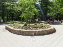 パークセンター前花壇に花植え