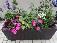 ガーデニングリラの会のコンテナは元気なイメージ