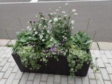 ＡＭＡサポーターズ倶楽部は大人っぽいコンテナ