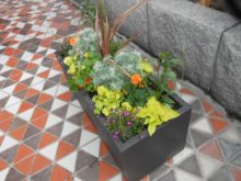 ナスタチウム、マリーゴールドなどエディブルフラワーを使ったコンテナ