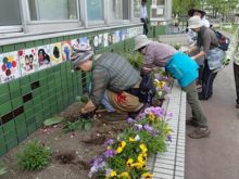正面花壇の植え込み作業