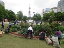 花壇のメンテナンスと苗植え作業の様子