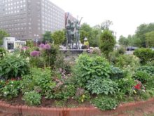 活動場所の花壇の遠景