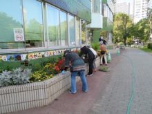 花壇のメンテナンスをするボランティアメンバー