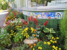 児童会館入口側の花壇の植栽