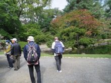 日本庭園の風景
