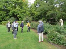 バラ花壇を見学