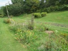 「モンタナ松の会」の花壇