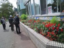 「カルガモみどりの会」の花壇