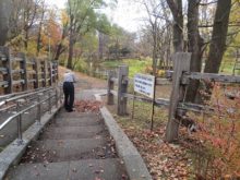 公園に降りる階段に積もった落ち葉集め