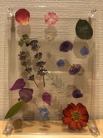 オンライン参加者の作品