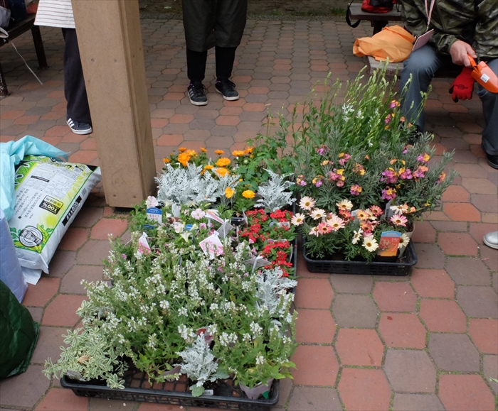 ボランティアさんと選んだ花苗